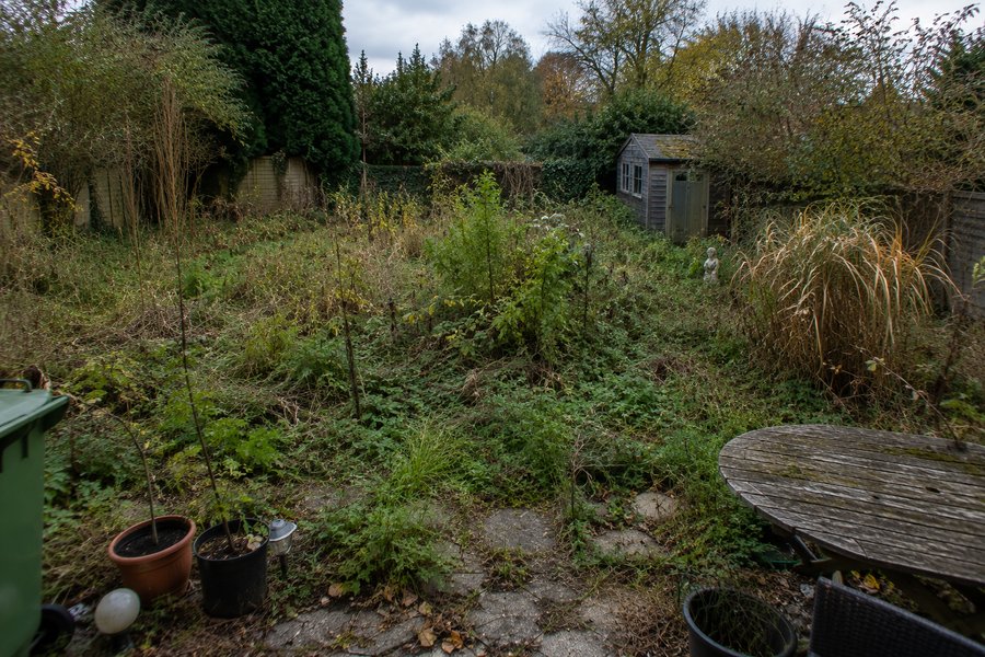 Garten vor Reinigung
